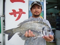 チヌ　熱田漁港　 2008/04/05 18:10:14