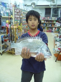 チヌ　４３ｃｍ 2008/04/20 19:42:26