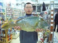 マクブ　中城湾 2008/04/21 18:08:19