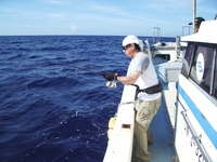 半日ジギング　海遊丸　６月２８日（土） 2008/06/28 15:39:48