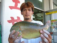 勝連にてマクブ 2008/08/07 17:11:31