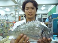 中城湾でチヌ３０オーバー 2008/08/08 20:09:43