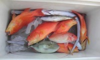 ジギング船 2008/03/28 18:49:03