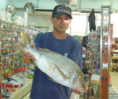 タマンなどの釣果