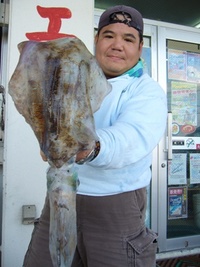 １．５ｋｇ　一文字イカ 2008/02/25 18:15:27