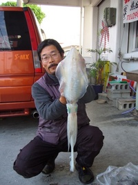 ２ｋｇＵＰ。　３ｋｇＵＰ。 2008/02/05 09:10:10
