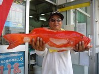 中城湾でライトジギング