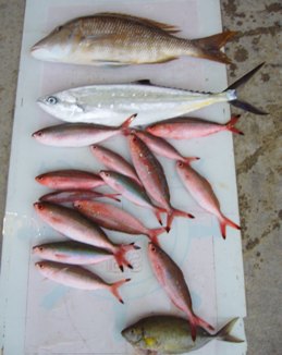 渡嘉敷島沖にて沖釣り