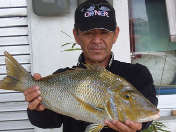 タマン　浜比嘉