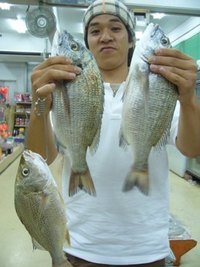 熱田漁港　他 2008/09/23 11:00:55