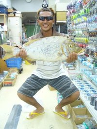 タマン７０オーバー 2009/09/05 20:43:15
