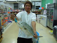 各地の釣果情報 2011/08/21 21:47:17
