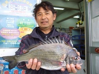 チヌ　３８ｃｍ　泡瀬一文字 2008/02/16 18:39:21