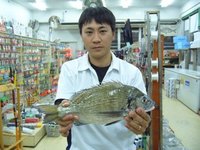 泡瀬一文字での釣果 2008/11/30 18:55:07