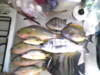 泡瀬一文字3番 2008/04/02 18:23:37