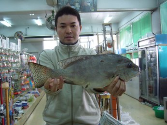 泡瀬での釣果