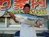 カツオ釣り 2011/06/12 17:06:15