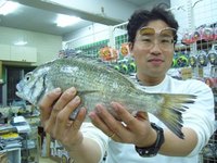 名護でのチヌ 2009/04/11 17:45:28