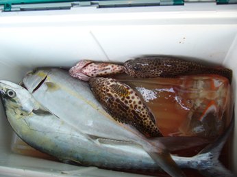 中城湾でのボート釣り