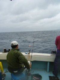 最近の沖釣り（グルクン釣り）