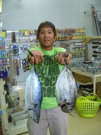 各地の釣果情報 2011/06/18 19:37:11