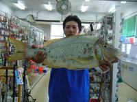 タマンの釣果情報 2011/07/12 17:52:56