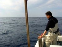 泳がせ釣り　アカジン 2010/12/20 18:20:34