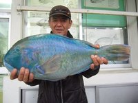 各地の釣果情報 2010/02/24 16:15:04