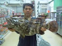 熱田漁港にてミーバイ 2010/05/06 16:39:49