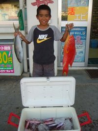 グルクンの季節がやってきましたー 2010/05/08 09:48:16