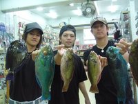 各地の釣果情報 2010/05/16 16:20:19