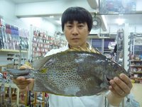 各地の釣果 2010/06/02 20:20:21
