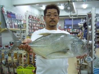 熱田漁港でガーラ