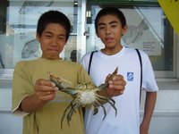 各地の釣果情報 2010/06/25 00:45:55