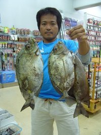 各地の釣果情報 2010/10/07 17:59:08