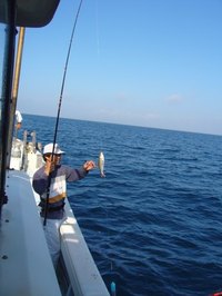 グルクン好調　海遊丸 2009/06/22 17:12:18