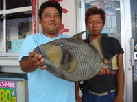 モンガラカワハギ 2009/07/06 16:58:06