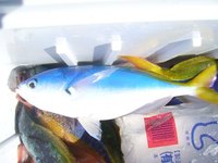 グルクン釣り　海遊丸　８月１６日（日） 2009/08/17 16:15:46