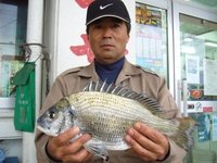 チヌ　中城モール海岸 2009/02/24 18:29:19