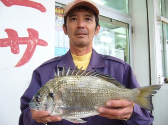 チヌ　中城モール海岸