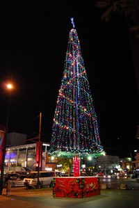 沖縄でクリスマス気分