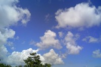 青い空と白い雲