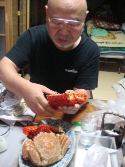 ノースサファリ