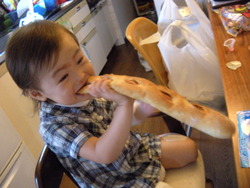 とびひの季節