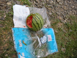 すいかわり