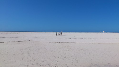 はての浜ビーチクリーン　告知