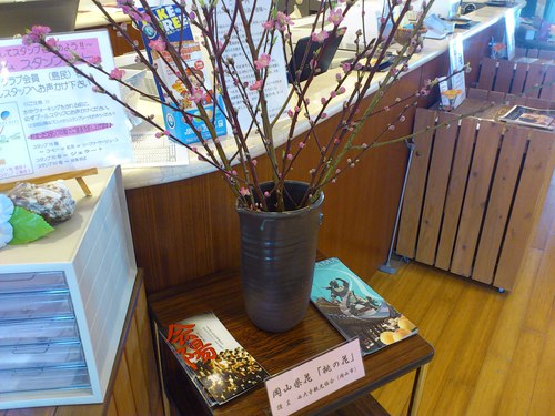 桃の花いただきました！