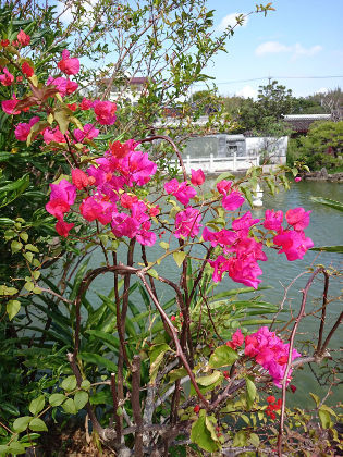 福州園