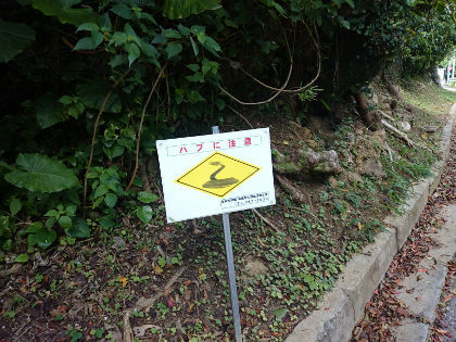 北谷登頂記