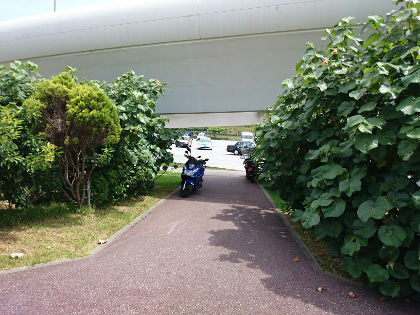 プールめし
